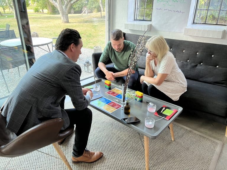 Hvad er en Insights Discovery Personprofil?